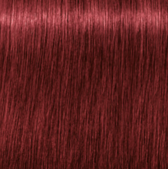 Tinte Igora Color 10
